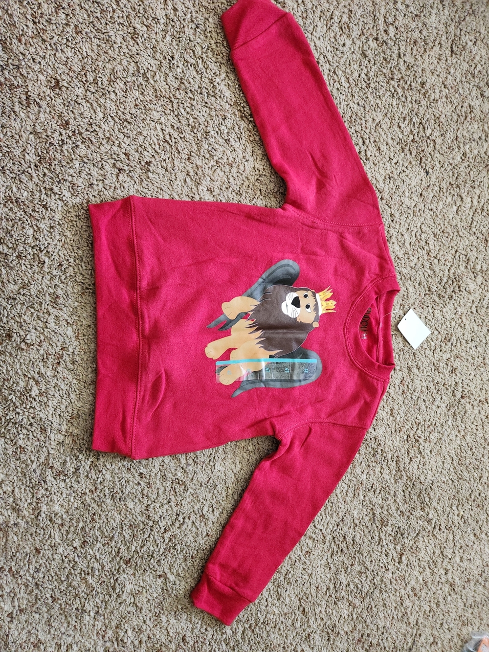 Kids Red Lion Graphic Sweatshirt